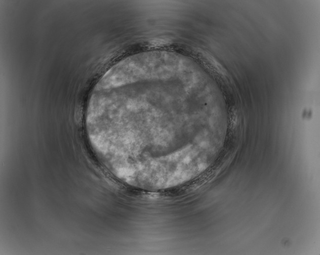 X0000094460565200712061226