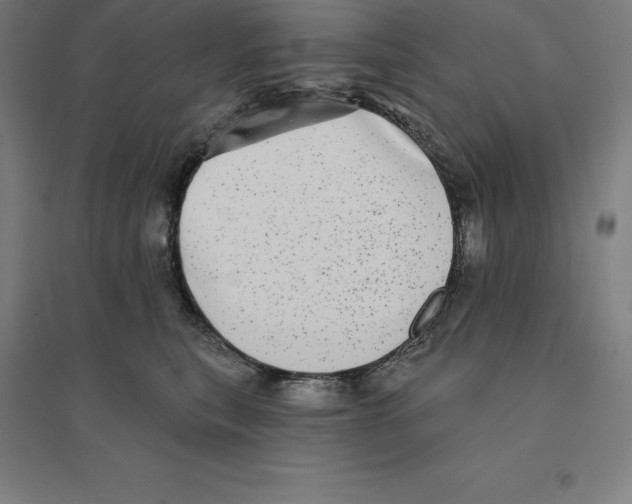 X0000094460567200712061226