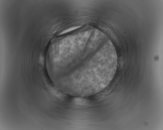 X0000094460568200712061226