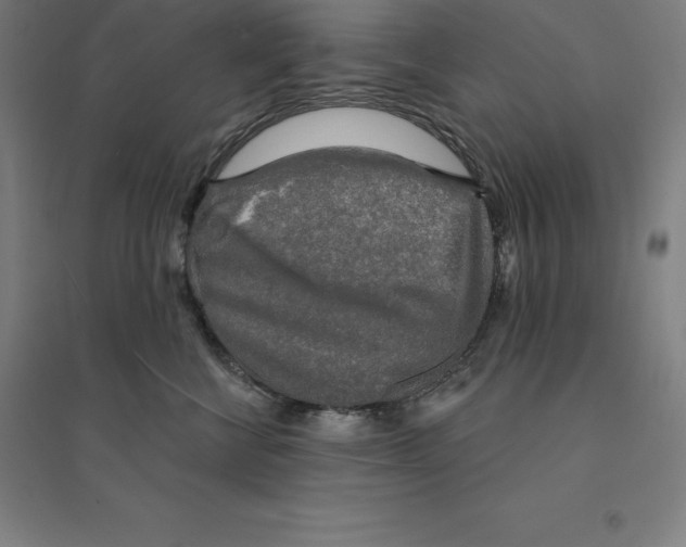 X0000094460570200712061226