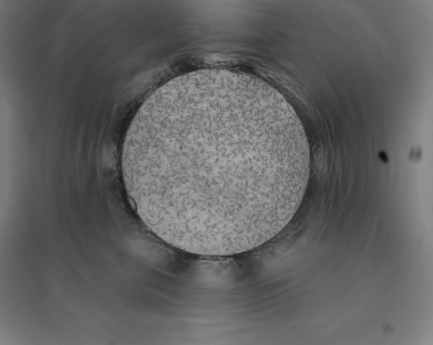X0000094460571200712061226