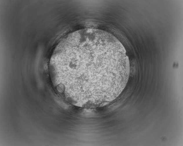 X0000094460573200712061226