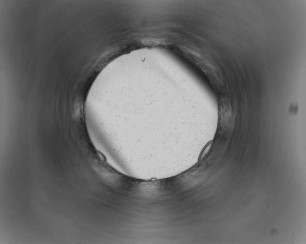 X0000094460574200712061226