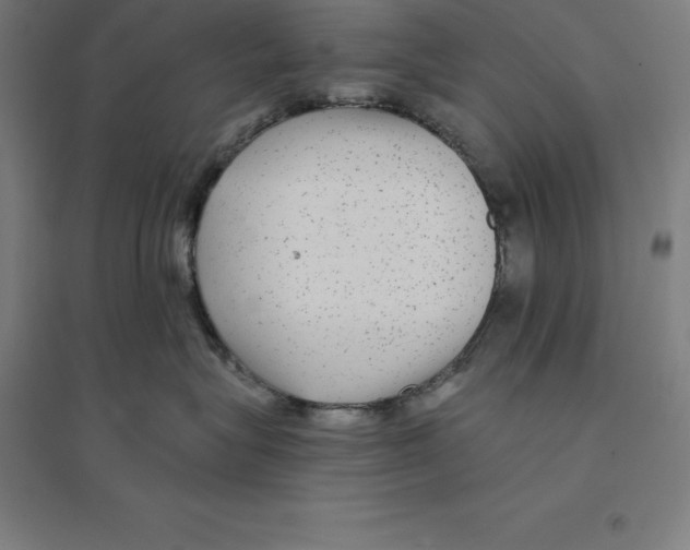 X0000094460575200712061226