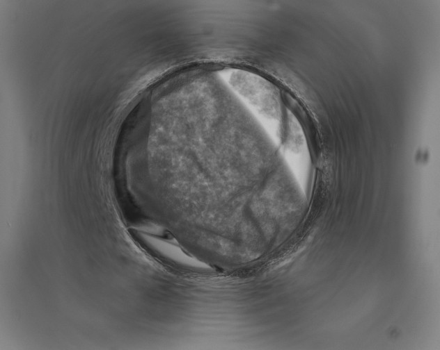 X0000094460577200712061225