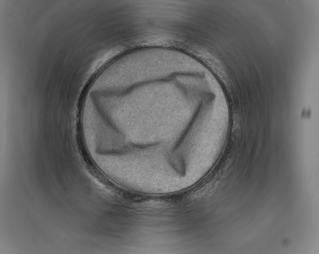 X0000094460578200712061225