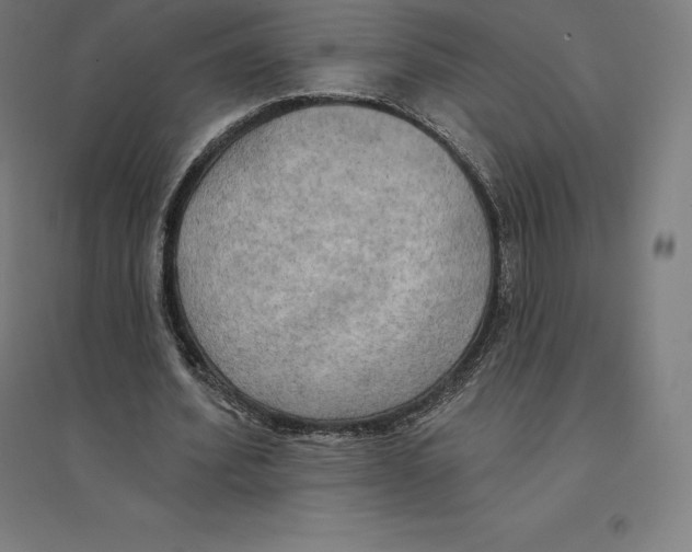 X0000094460580200712061225