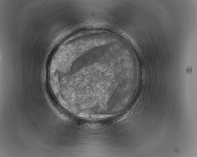 X0000094460582200712061225