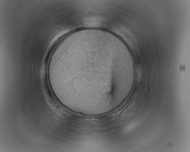 X0000094460583200712061225