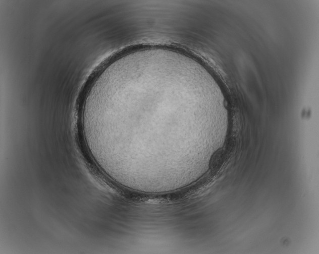 X0000094460584200712061225