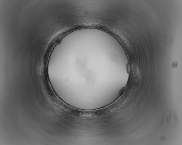 X0000094460587200712061225