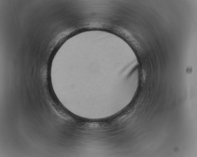 X0000094460588200712061225