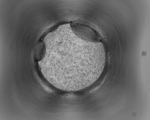 X0000094460589200712061225