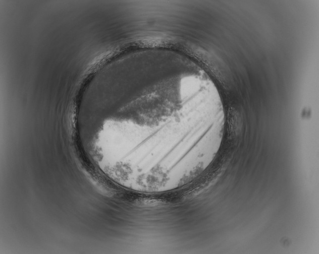 X0000094460590200712061225