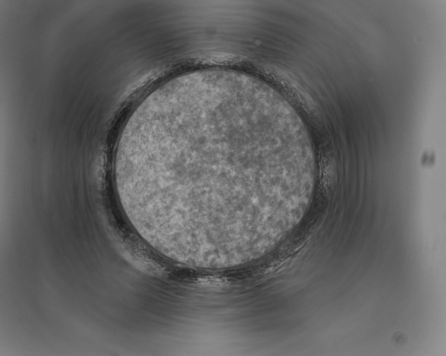 X0000094460591200712061225