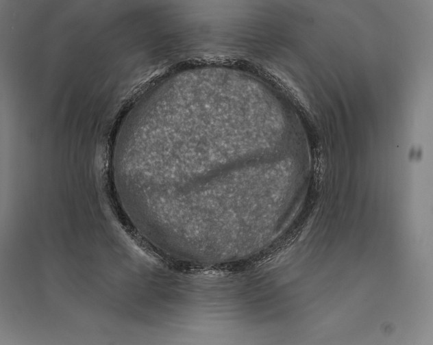 X0000094460593200712061225