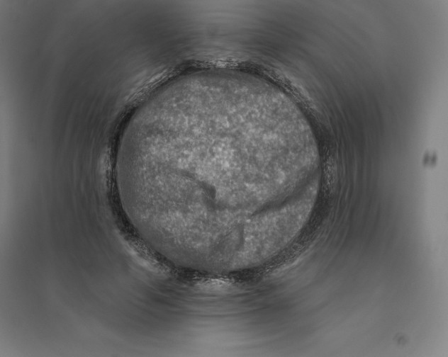 X0000094460594200712061225