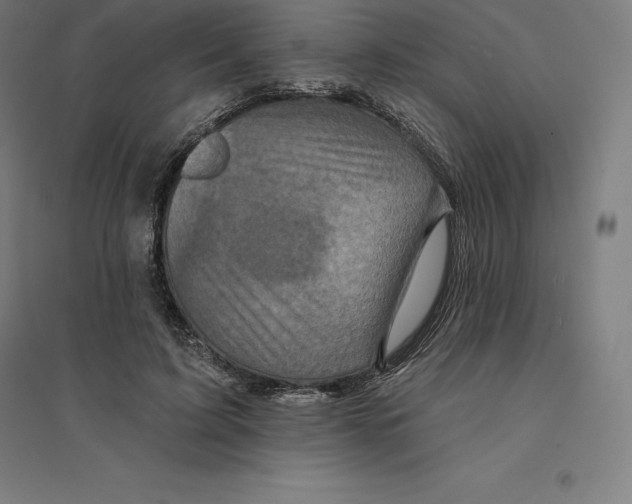 X0000094460595200712061225