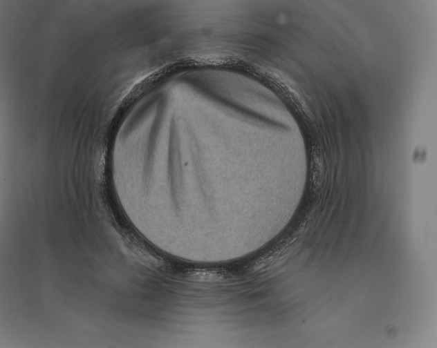 X0000094460596200712061225