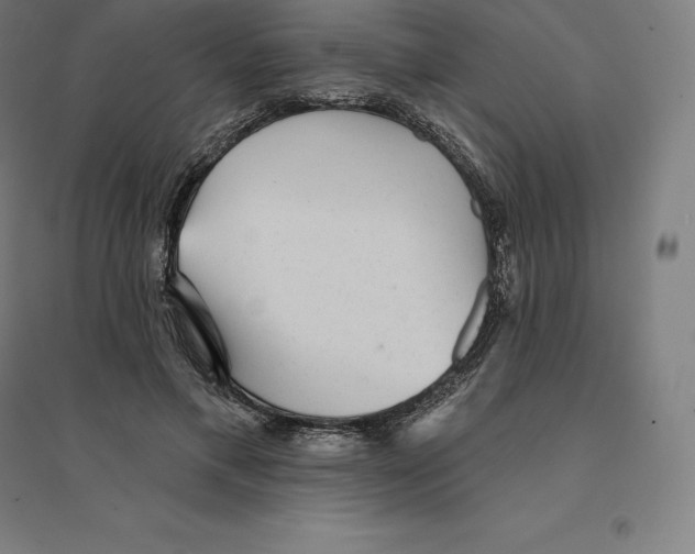 X0000094460597200712061225