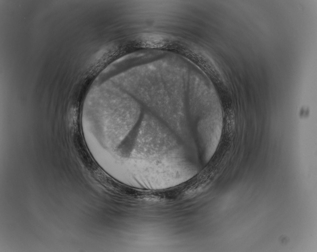 X0000094460598200712061225