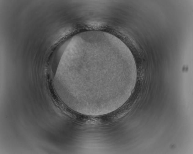 X0000094460599200712061225