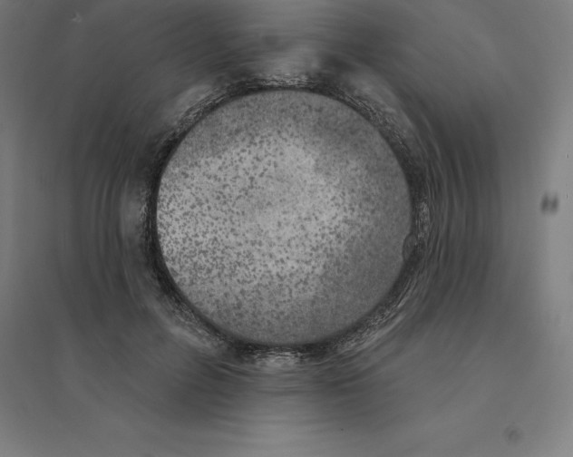 X0000094460600200712061225