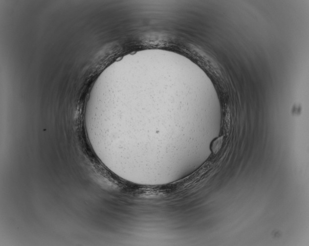 X0000094460601200712061225