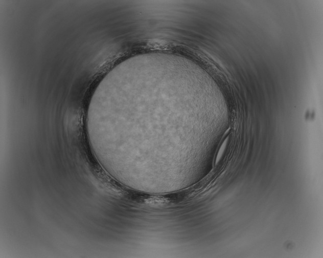 X0000094460603200712061225