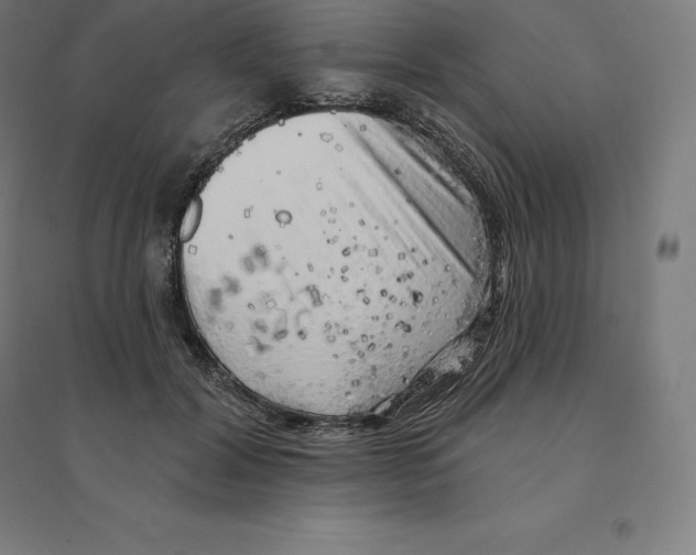 X0000094460604200712061225