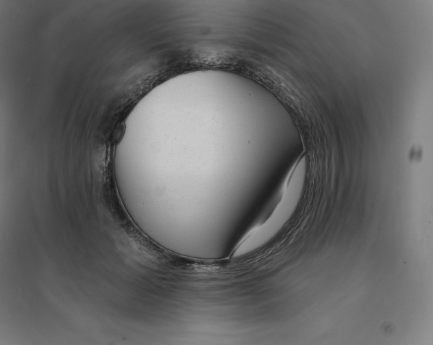 X0000094460605200712061225