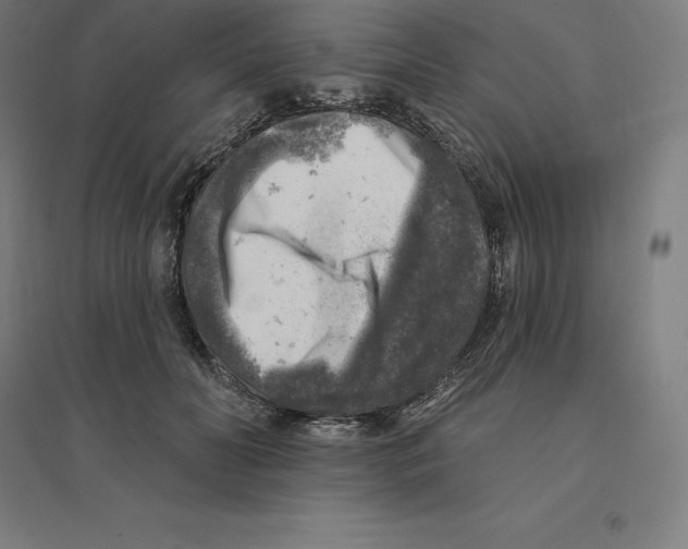 X0000094460606200712061225