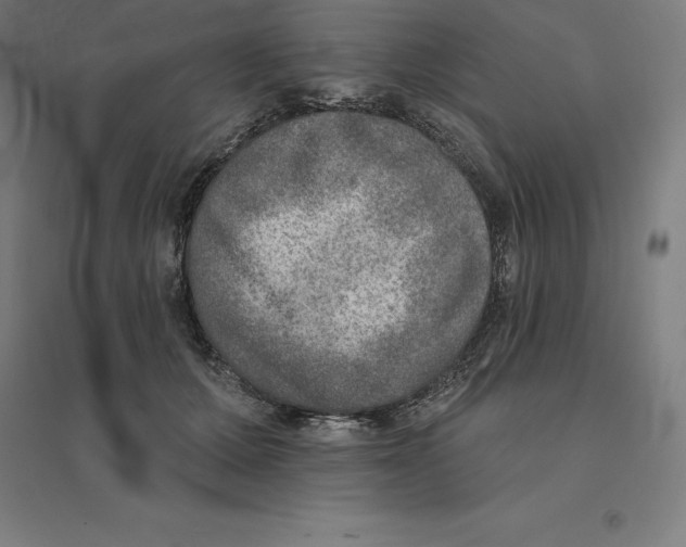 X0000094460607200712061225