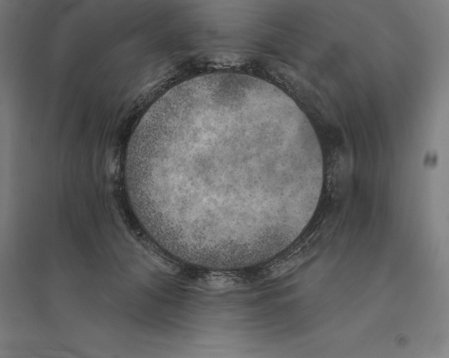 X0000094460608200712061225