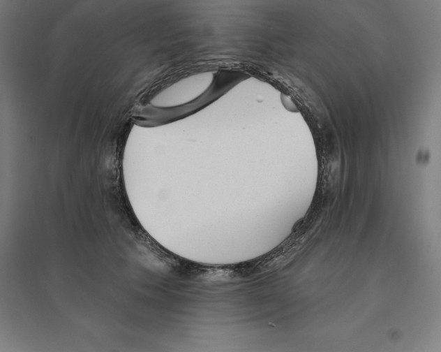 X0000094460609200712061225