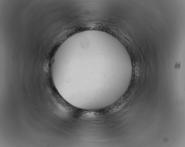 X0000094460611200712061225