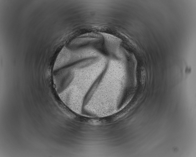 X0000094460613200712061225