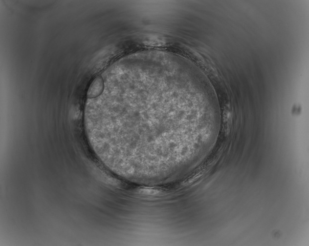 X0000094460614200712061225