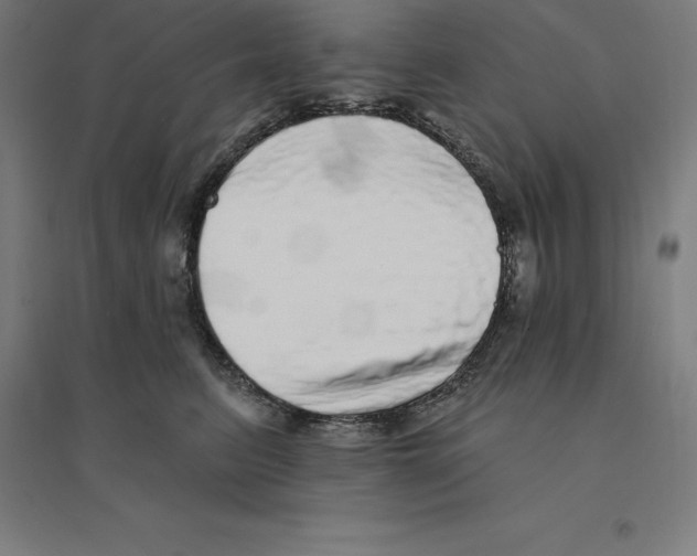 X0000094460615200712061225