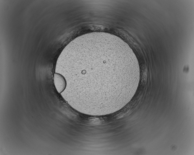 X0000094460616200712061225