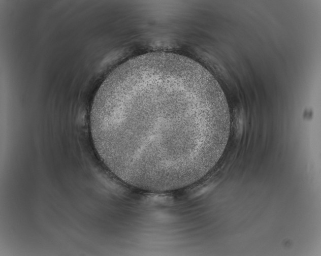 X0000094460619200712061225