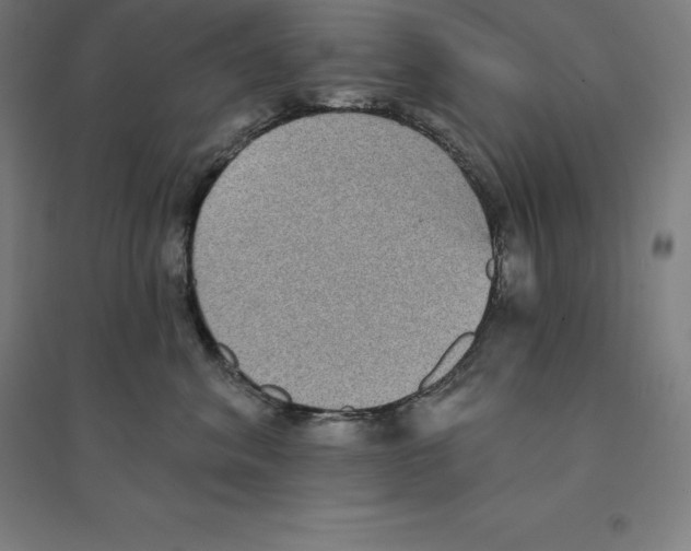 X0000094460620200712061225