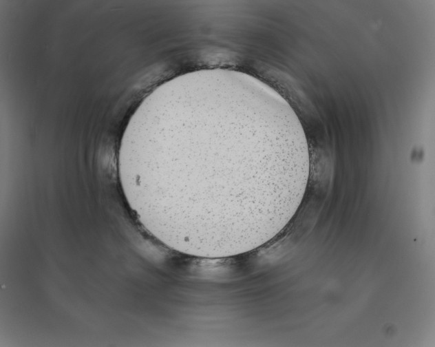 X0000094460622200712061225