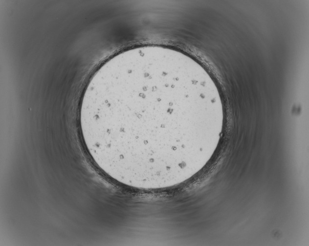 X0000094460625200712061224