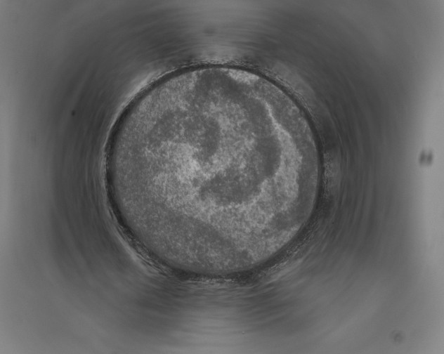 X0000094460626200712061224