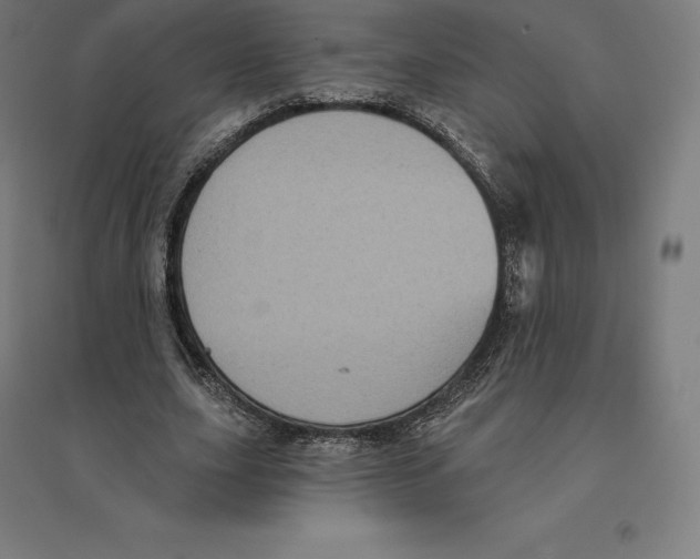 X0000094460631200712061224