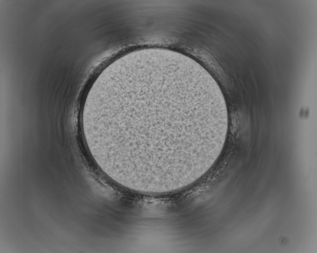 X0000094460632200712061224