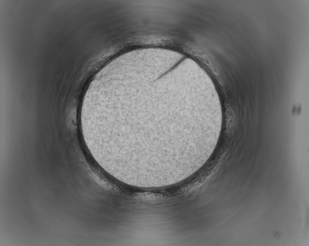 X0000094460633200712061224