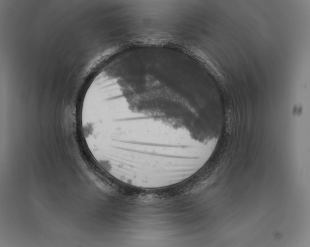 X0000094460634200712061224