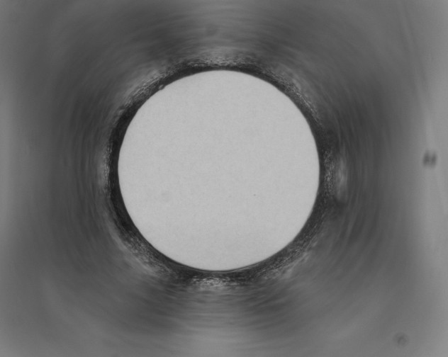 X0000094460635200712061224